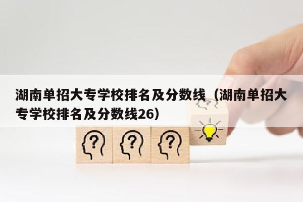 湖南单招大专学校排名及分数线(湖南单招大专学校排名及分数线26)