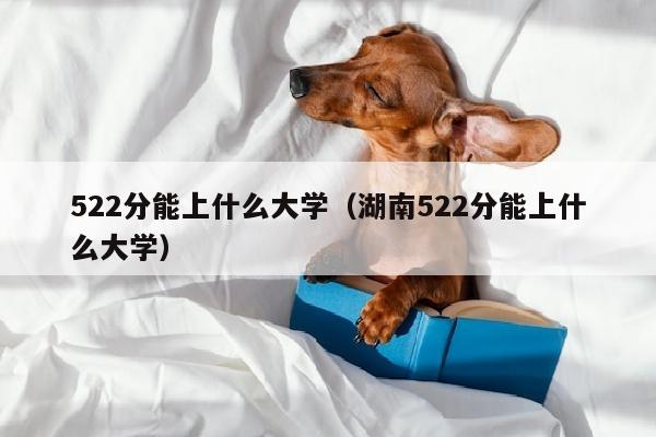 522分能上什么大学(湖南522分能上什么大学)