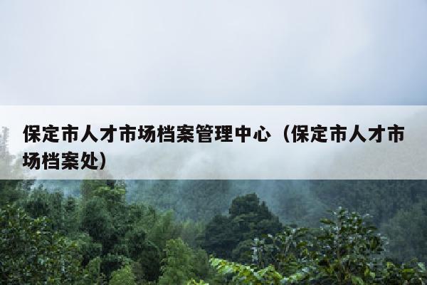 保定市人才市场档案管理中心(保定市人才市场档案处)
