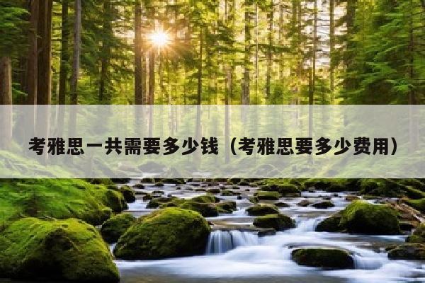 考雅思一共需要多少钱(考雅思要多少费用)
